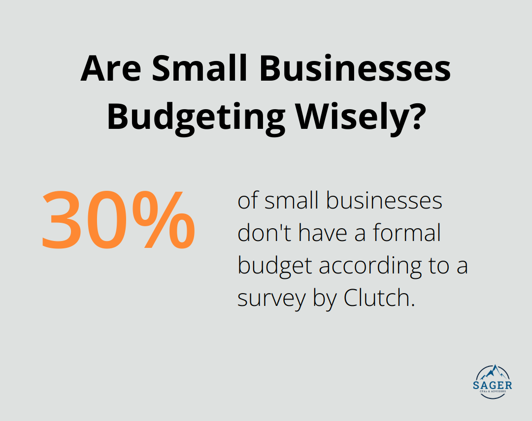 Infographic: Are Small Businesses Budgeting Wisely?