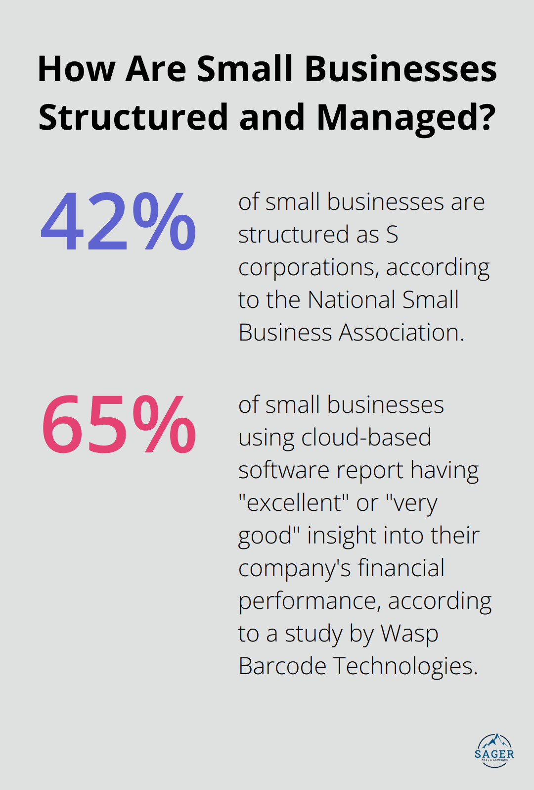 Infographic: How Are Small Businesses Structured and Managed?