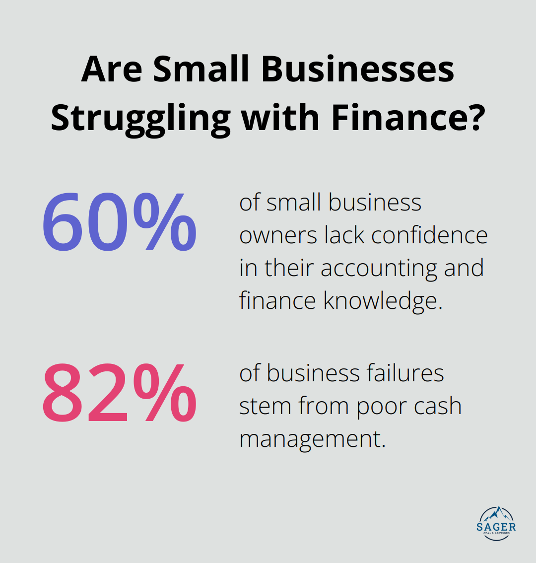 Infographic: Are Small Businesses Struggling with Finance? - what does a cpa do for a small business