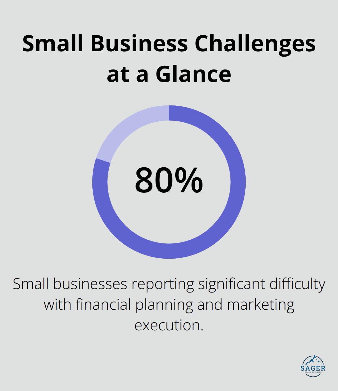 Visual showing that over 80% of U.S. small businesses struggle with financial planning and marketing execution. - Expert business advisory services